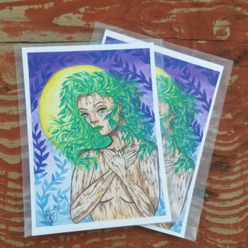 Weeping Willow 5x7 Print 
