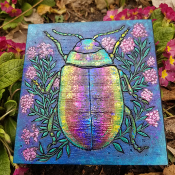 Rainbow Beetle Trinket Box
